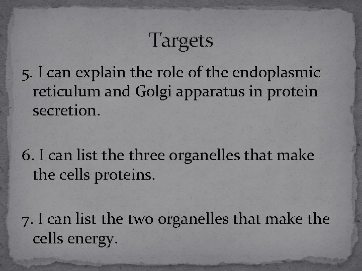 Targets 5. I can explain the role of the endoplasmic reticulum and Golgi apparatus