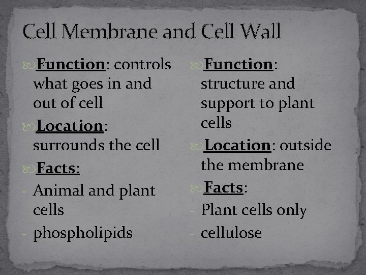 Cell Membrane and Cell Wall Function: controls what goes in and out of cell