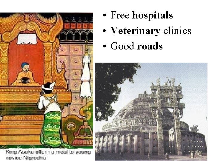  • Free hospitals • Veterinary clinics • Good roads 