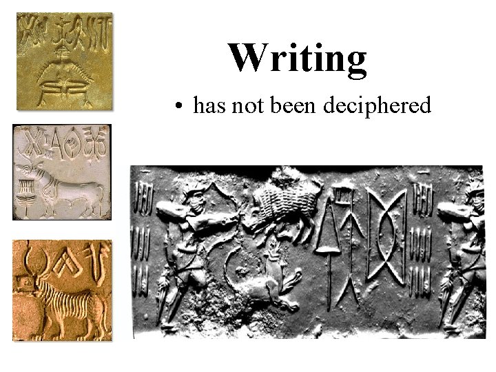 Writing • has not been deciphered 