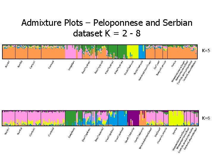 Admixture Plots – Peloponnese and Serbian dataset K = 2 - 8 K=5 K=6