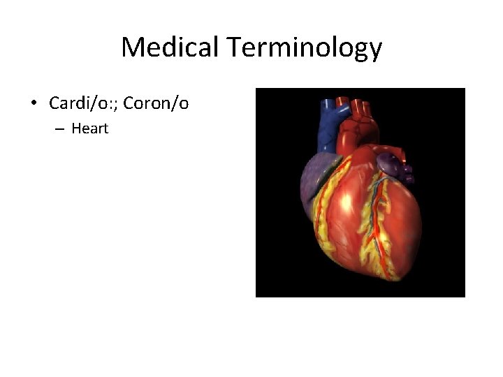 Medical Terminology • Cardi/o: ; Coron/o – Heart 
