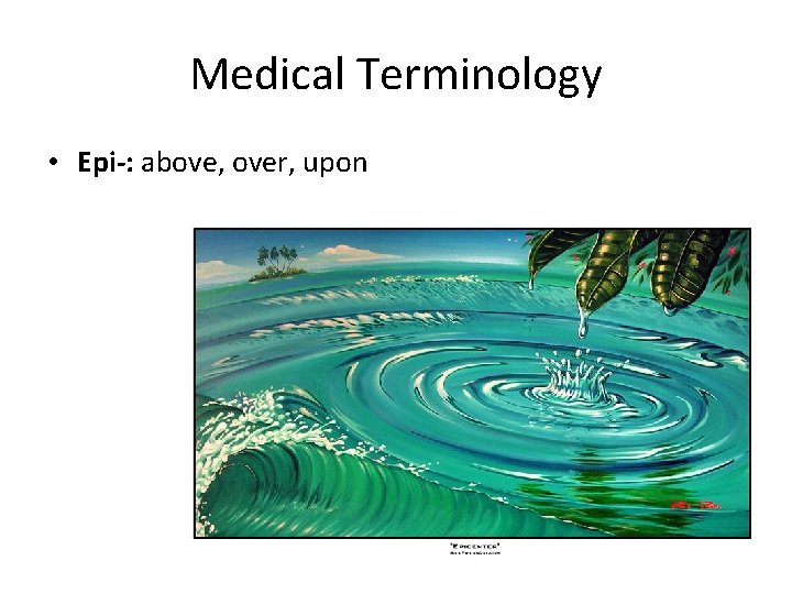 Medical Terminology • Epi-: above, over, upon 