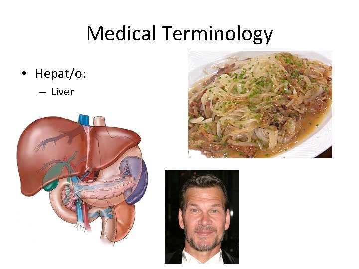 Medical Terminology • Hepat/o: – Liver 