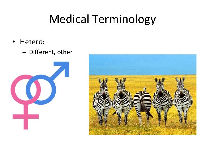 Medical Terminology • Hetero: – Different, other 