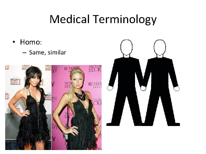 Medical Terminology • Homo: – Same, similar 