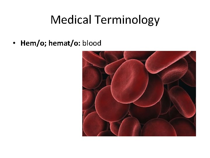 Medical Terminology • Hem/o; hemat/o: blood 
