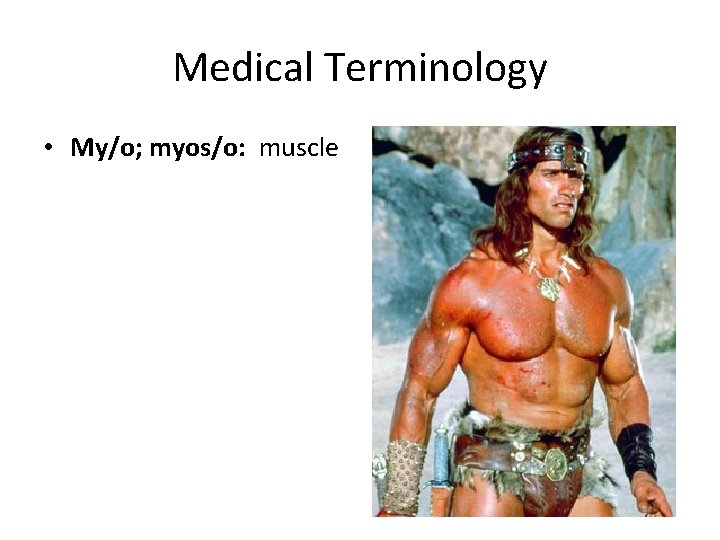 Medical Terminology • My/o; myos/o: muscle 