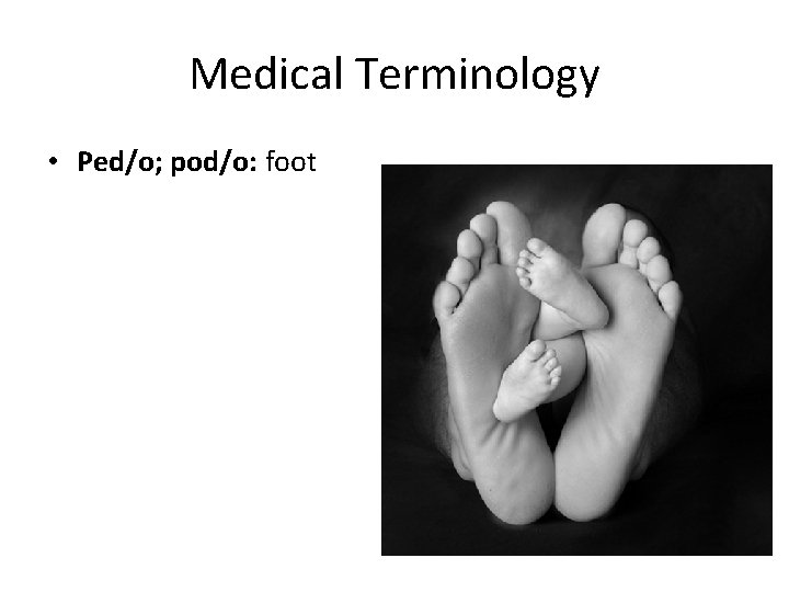 Medical Terminology • Ped/o; pod/o: foot 