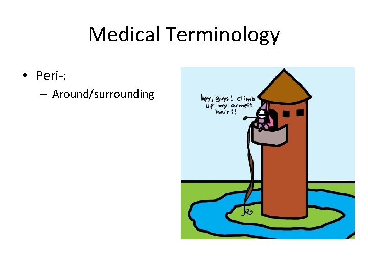 Medical Terminology • Peri-: – Around/surrounding 