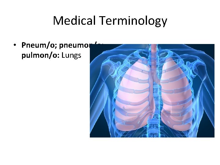 Medical Terminology • Pneum/o; pneumon/o; pulmon/o: Lungs 