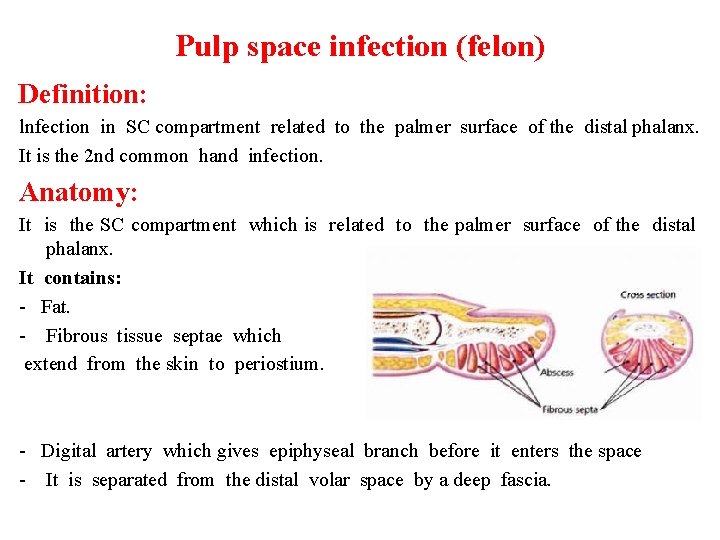 Pulp space infection (felon) Definition: lnfection in SC compartment related to the palmer surface