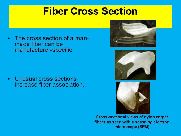 Fiber Cross Section • The cross section of a manmade fiber can be manufacturer-specific