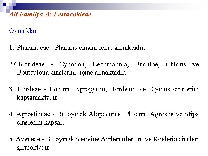Alt Familya A: Festucoideae Oymaklar 1. Phalarideae - Phalaris cinsini içine almaktadır. 2. Chlorideae