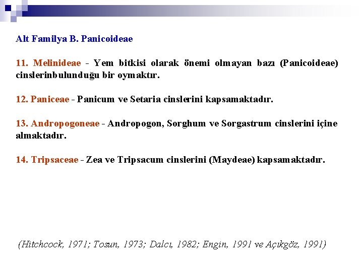 Alt Familya B. Panicoideae 11. Melinideae - Yem bitkisi olarak önemi olmayan bazı (Panicoideae)
