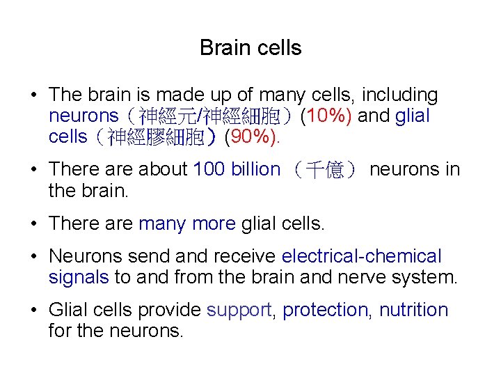 Brain cells • The brain is made up of many cells, including neurons（神經元/神經細胞）(10%) and
