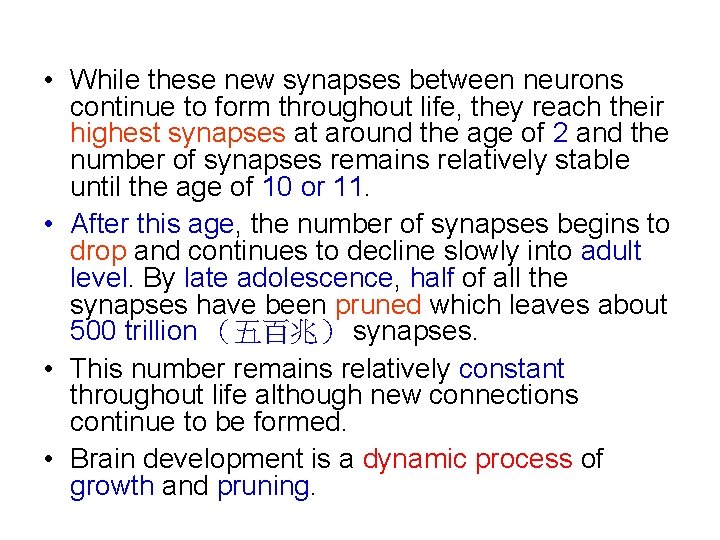  • While these new synapses between neurons continue to form throughout life, they
