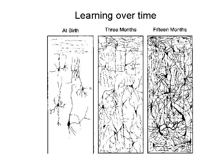 Learning over time 