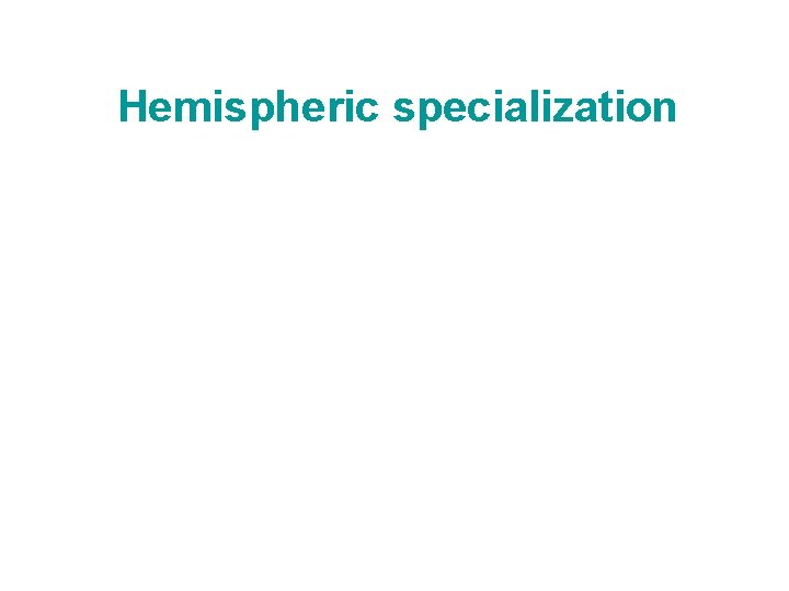 Hemispheric specialization 