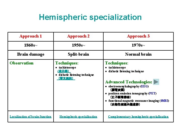 Hemispheric specialization Approach 1 Approach 2 Approach 3 1860 s~ 1950 s~ 1970 s~