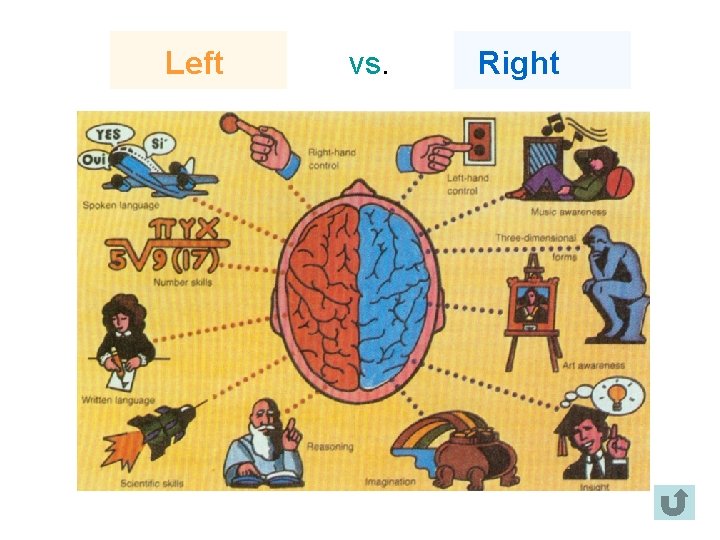Left vs. Right 
