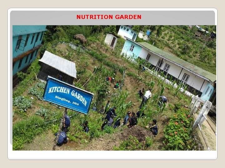 NUTRITION GARDEN 