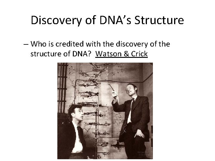 Discovery of DNA’s Structure – Who is credited with the discovery of the structure