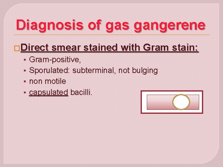 Diagnosis of gas gangerene �Direct • • smear stained with Gram stain: Gram-positive, Sporulated: