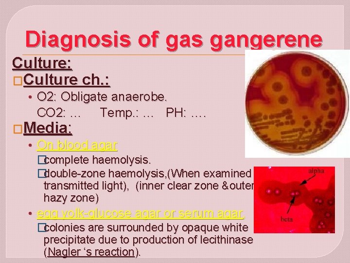 Diagnosis of gas gangerene Culture: �Culture ch. : • O 2: Obligate anaerobe. CO