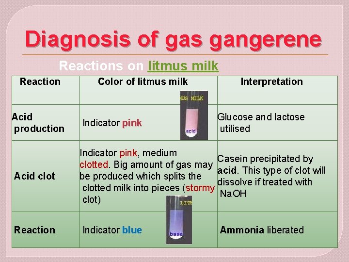 Diagnosis of gas gangerene Reactions on litmus milk Reaction Color of litmus milk Interpretation