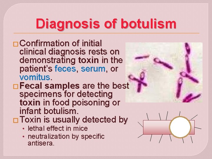 Diagnosis of botulism � Confirmation of initial clinical diagnosis rests on demonstrating toxin in