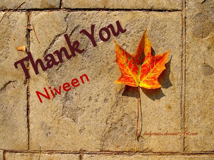 u o Y k n a h T veen i N 