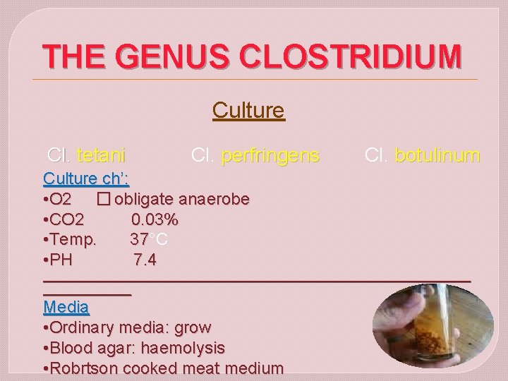 THE GENUS CLOSTRIDIUM Culture Cl. tetani Cl. perfringens Cl. botulinum Culture ch’: • O