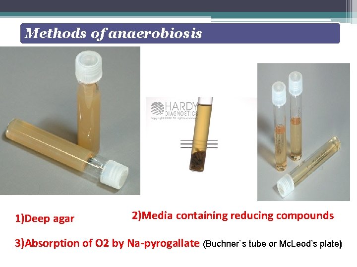 Methods of anaerobiosis 1)Deep agar 2)Media containing reducing compounds 3)Absorption of O 2 by