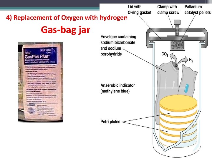 4) Replacement of Oxygen with hydrogen Gas-bag jar 