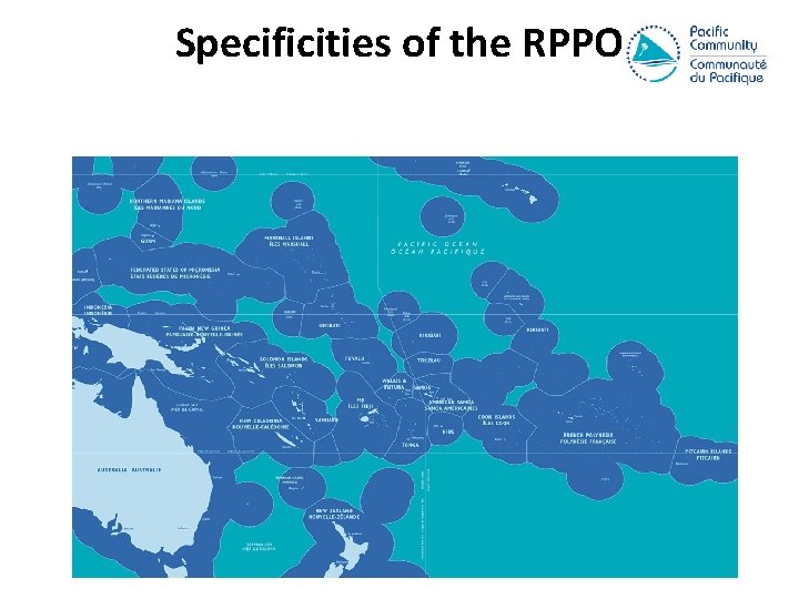 Specificities of the RPPO 