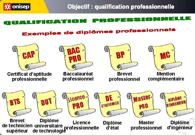 BAC PRO CAP Certificat d’aptitude professionnelle BTS DUT Baccalauréat professionnel e Licenc PRO BP