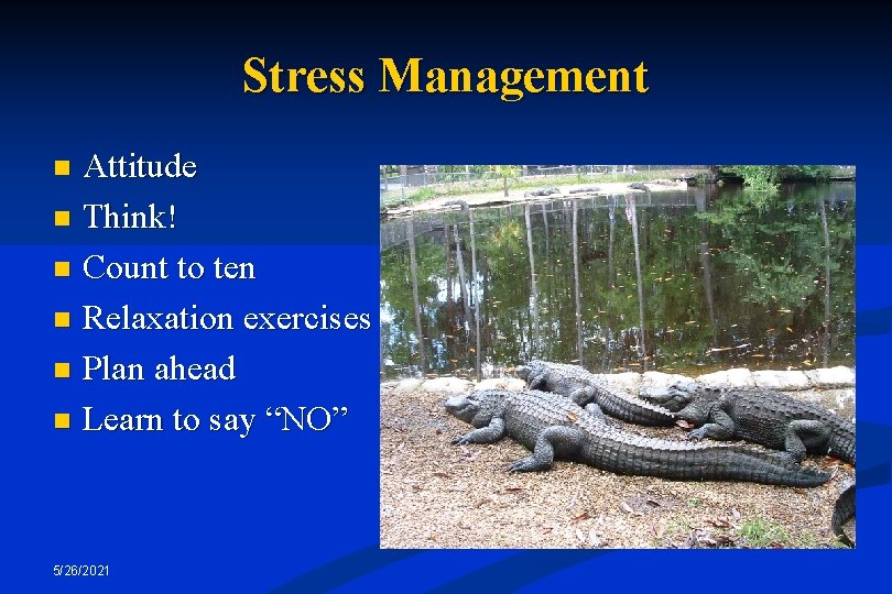 Stress Management Attitude n Think! n Count to ten n Relaxation exercises n Plan