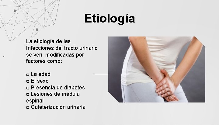 Etiología La etiología de las Infecciones del tracto urinario se ven modificadas por factores