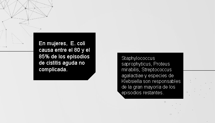 En mujeres, E. coli causa entre el 80 y el 85% de los episodios