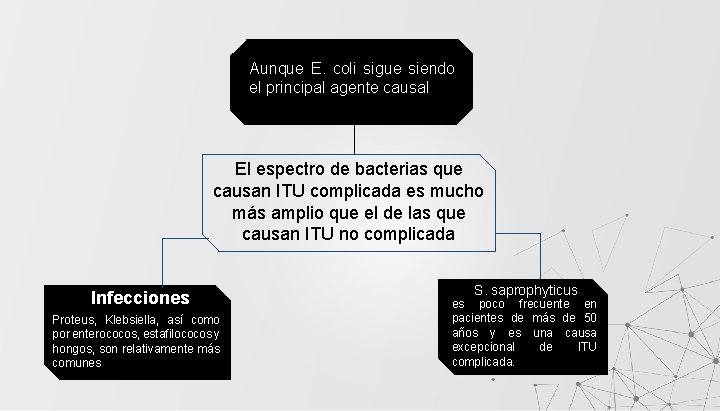 Aunque E. coli sigue siendo el principal agente causal El espectro de bacterias que