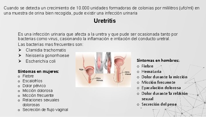 Cuando se detecta un crecimiento de 10. 000 unidades formadoras de colonias por mililitros