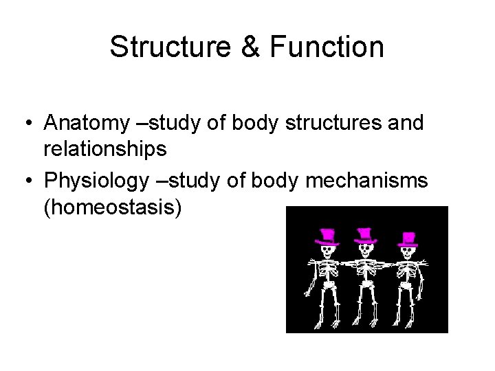 Structure & Function • Anatomy –study of body structures and relationships • Physiology –study