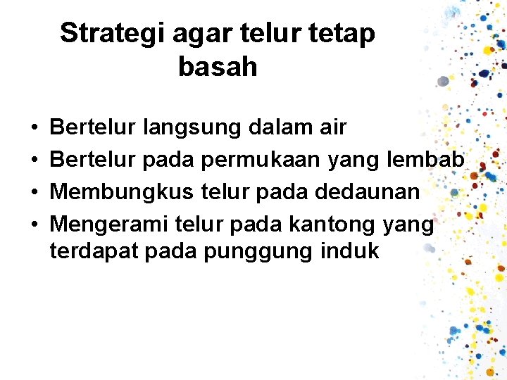 Strategi agar telur tetap basah • • Bertelur langsung dalam air Bertelur pada permukaan