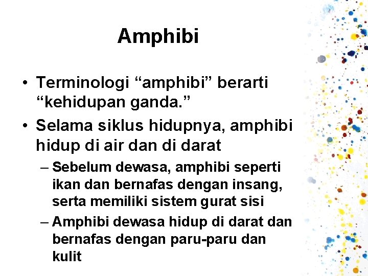 Amphibi • Terminologi “amphibi” berarti “kehidupan ganda. ” • Selama siklus hidupnya, amphibi hidup
