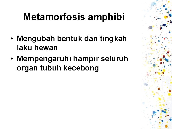 Metamorfosis amphibi • Mengubah bentuk dan tingkah laku hewan • Mempengaruhi hampir seluruh organ