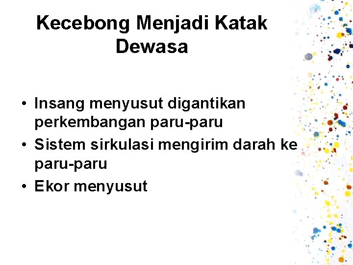 Kecebong Menjadi Katak Dewasa • Insang menyusut digantikan perkembangan paru-paru • Sistem sirkulasi mengirim