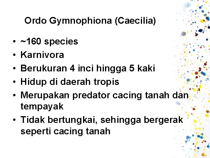 Ordo Gymnophiona (Caecilia) • • • ~160 species Karnivora Berukuran 4 inci hingga 5