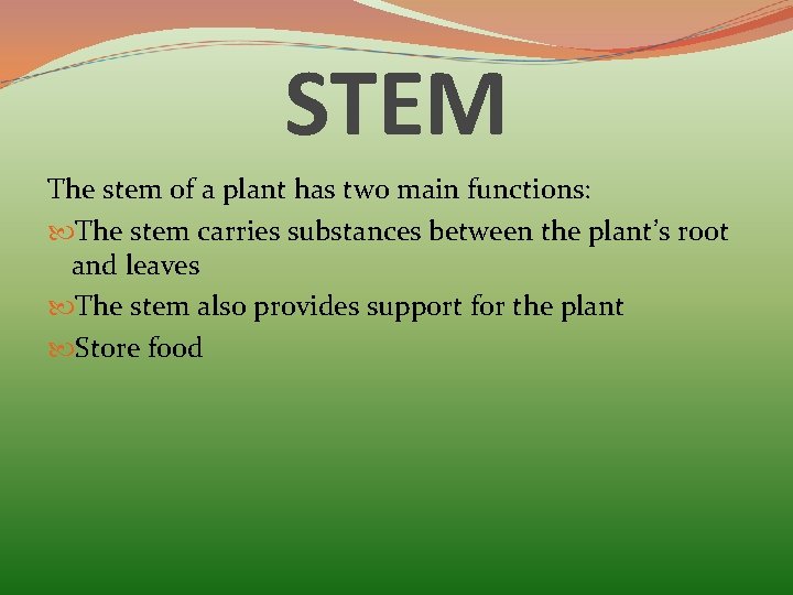 STEM The stem of a plant has two main functions: The stem carries substances