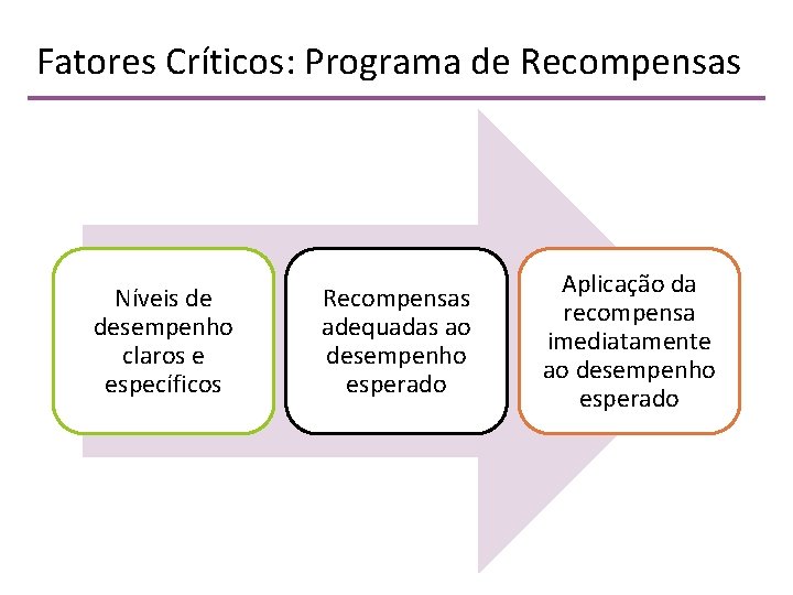 Fatores Críticos: Programa de Recompensas Níveis de desempenho claros e específicos Recompensas adequadas ao